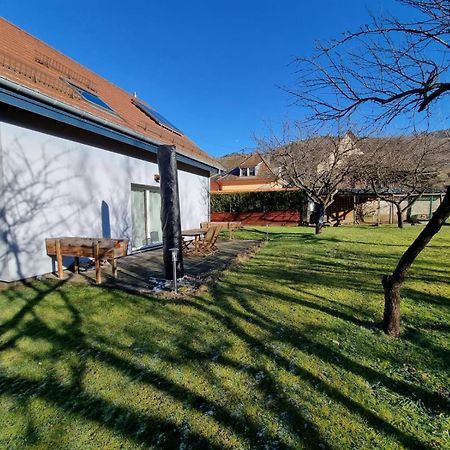 Le Gite De Cleo, Maison Spacieuse Et Paisible. Metzeral Bagian luar foto